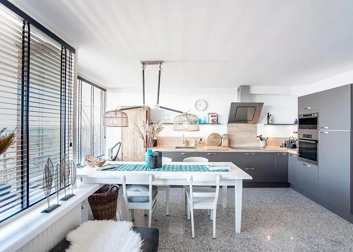 Ibiza With Private Parking Appartement Zandvoort